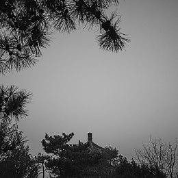 《NASCAR 21: Ignition》公布 采用虚幻引擎